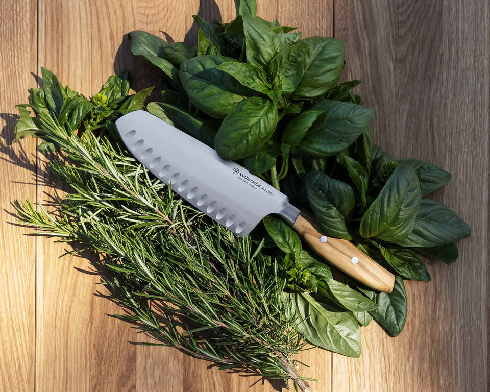 NEW: The WÜSTHOF Amici series