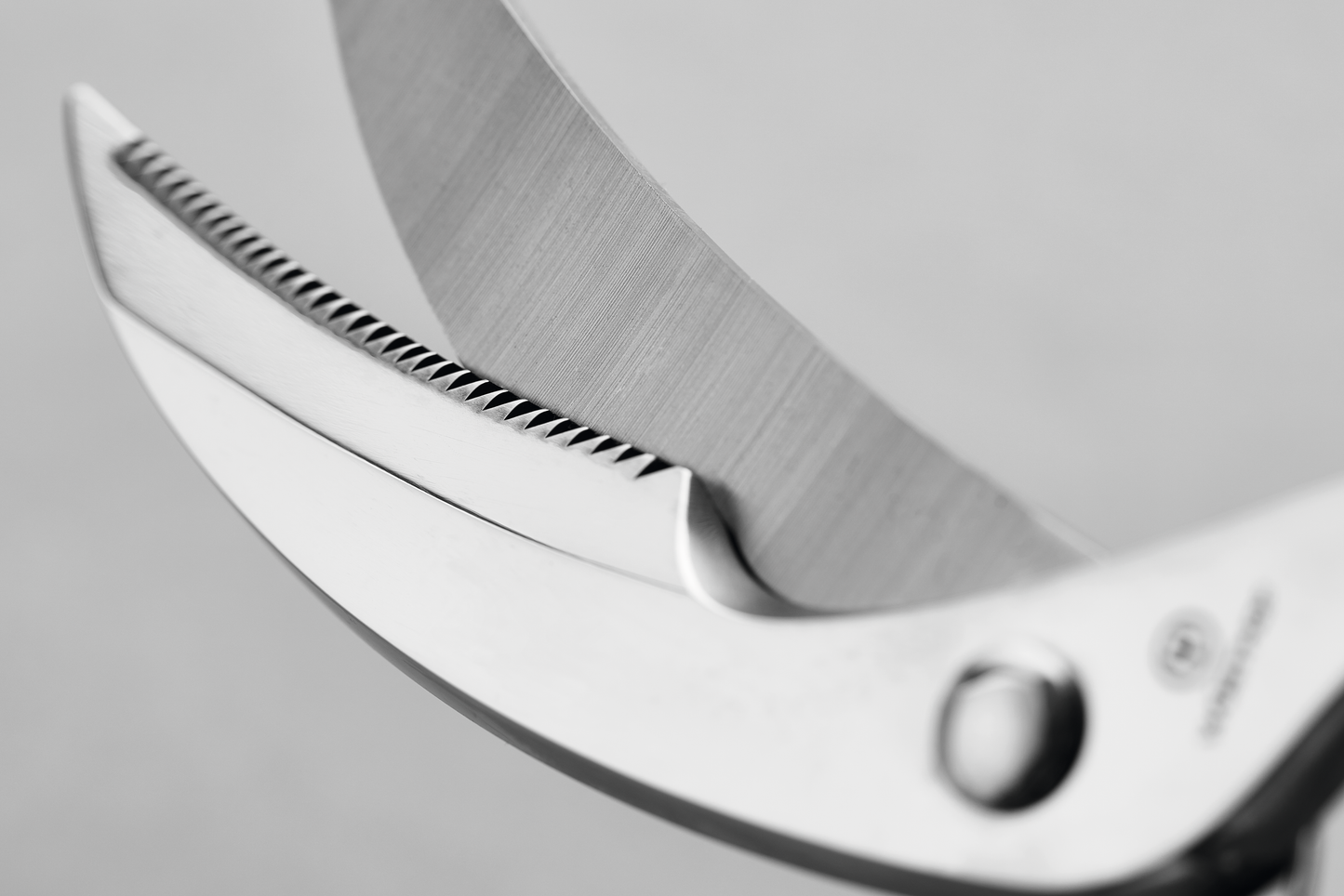 Geflügelschere 25 cm