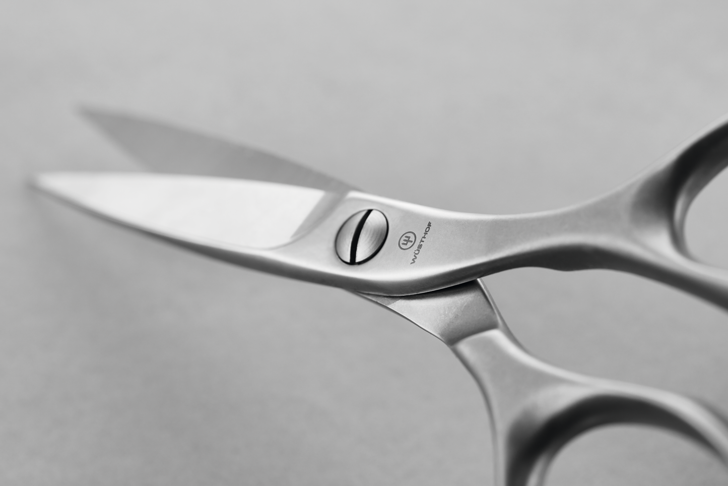 Kitchen Shears 17 cm | 7 inch