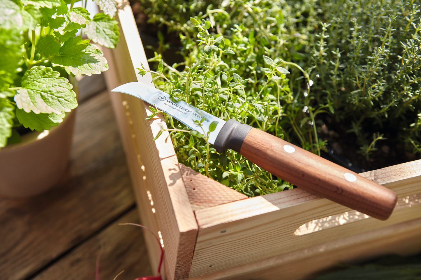 Urban Farmer Erntemesser 8 cm